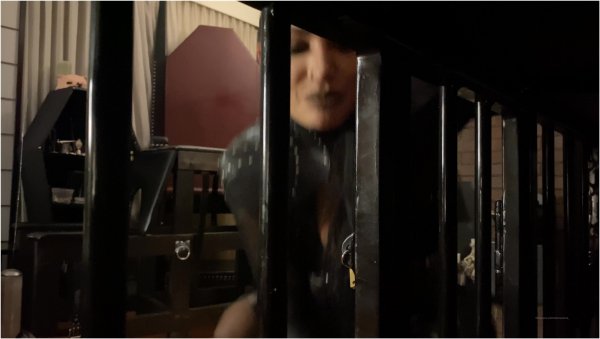 Mistress Damazonia - Amazon Woman's Captive Role Play