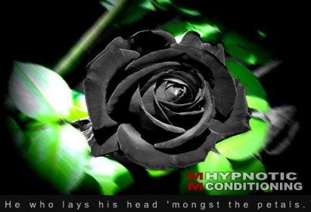 Miss Mary - Black Rose (Erotic Hypnosis MP3)