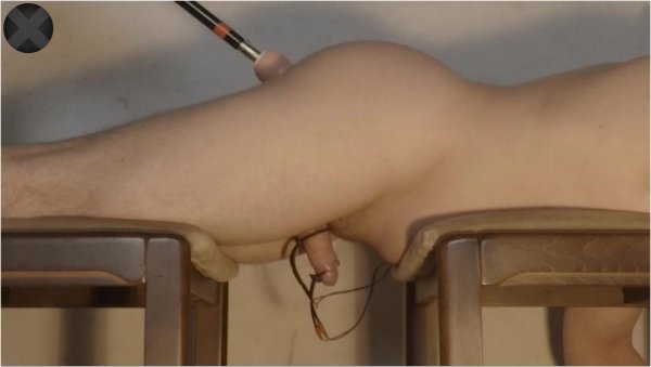 InstitutionX - Ruthless Prostate Stimulation by Powerful Fucking Machine While Getting His Cock and Balls Electrocuted