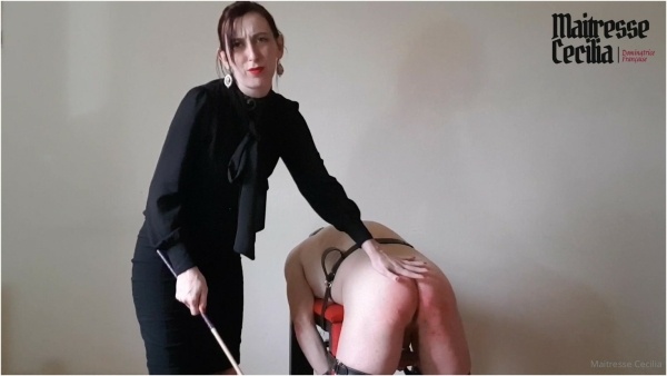 When A Panties Thief Gets Punished - MAITRESSE CECILIA