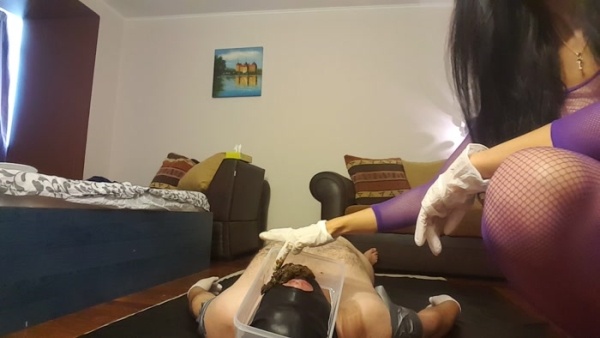 Pooping on my slaves face - scat humiliation