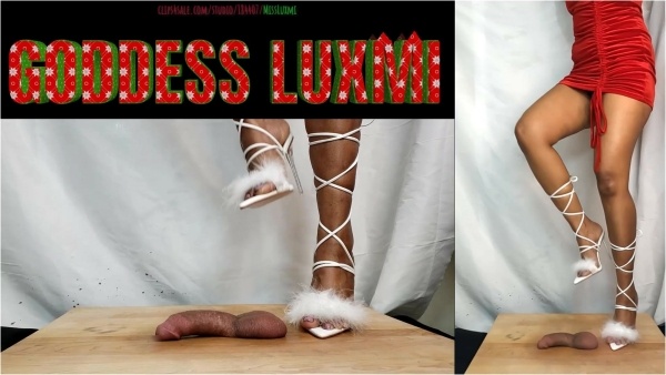Miss Luxmi - XMAS BALL STOMP (1ST 6 MINUTES) [MULTI-VIEW]