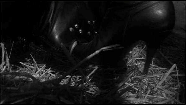Deutsche Dominanz - The Dark Dreams