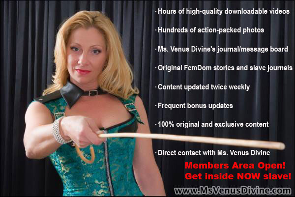 MsVenusDivine - Megapack - Femdom Siterip 44 clip