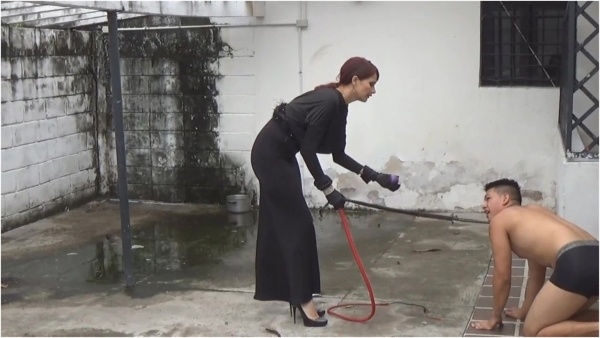 Latin Beauties In High Heels - Doggie Training 101 - Goddess Joanna