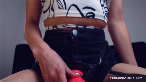 Miss Amina Rose - A Pegging Experiment