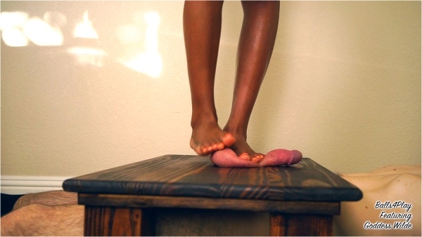 GoddessWilde - Foot Crush Frenzy