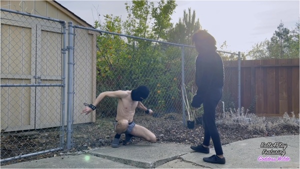 Balls4play - Goddess Wilde - Chained And Kicked