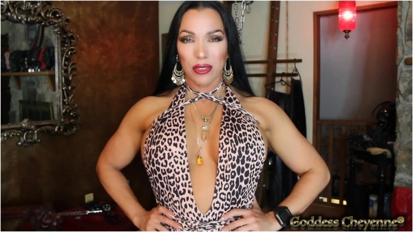Goddess Cheyenne - Hard Commitment