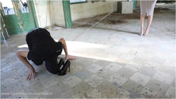 Domina Kim - This Dog Needed To Be Trained So He Can Complete All His Chores Perfectly