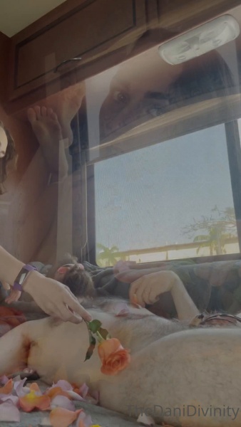 Dani Divinity - He loves mehe loves me not Well no debate there. My puppy adores me.  So that leaves