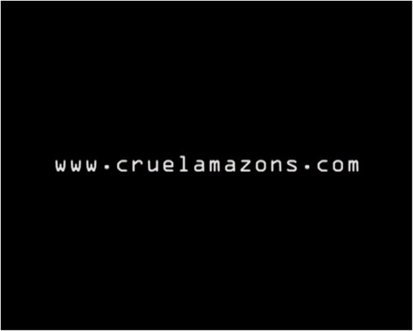 Cruelamazons - You Idiot!