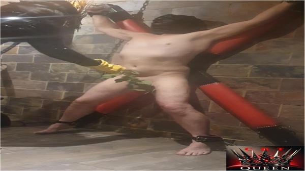 Queen Of CBT - Goddess Kimberley - Merciless Mistress Hardcore Cbt Ballbusting