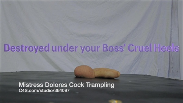 Mistress Dolores Slave - Angry Boss's CBT Shoejob under Work Heels VALUE PACK 4 versions