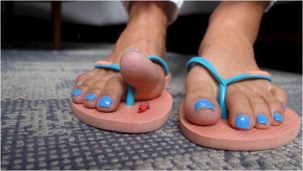 Mistress Enola Fetish - Tiny Loser Meet My Flip Flop Prison - Giantess Enola - Crushing toying him between my toes stomp