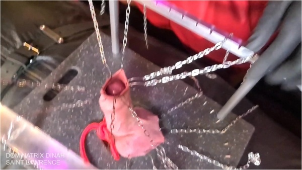 Dominatrix Dinah Personal - Extreme CBT - Hooked Cock And Balls