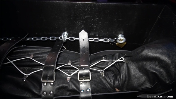 Mistress Lunatika - Electric Play In A Coffin