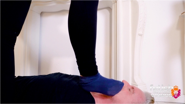 FEMDOMSQUAD Video Store - I WANT A LIVING CARPET FOR MY HOME