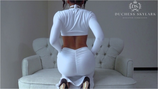 Master Skylark - Devoted to Duchess