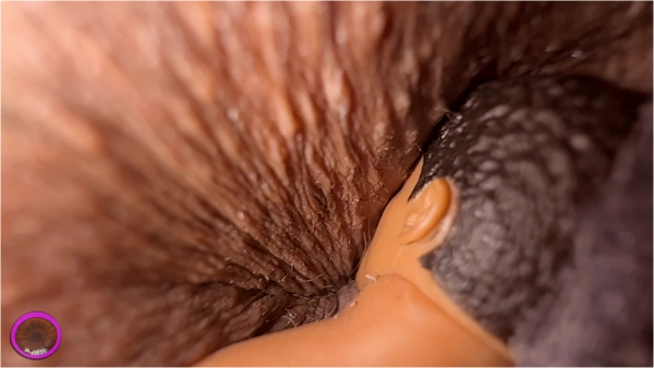 The Cirilla Emporium - Giantess Cirilla Panty Pal