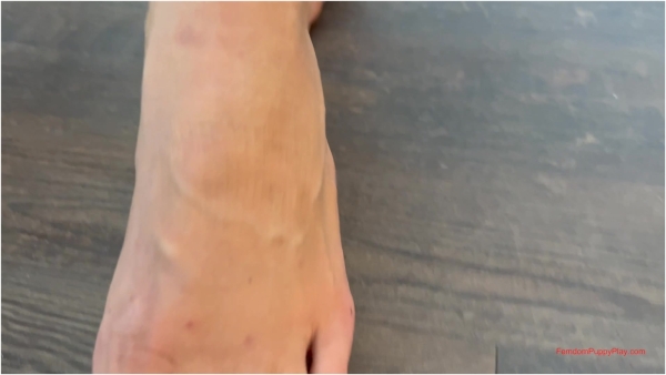 Femdom Puppy Play - Goddess Lovell Picks Up a Club