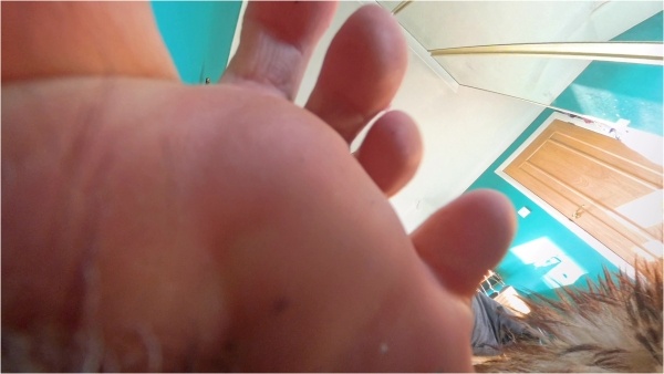 Giantess Lady Soles - A Marriage Ruled From Above