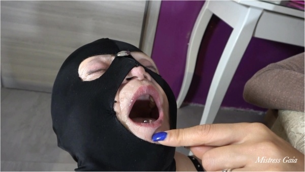 MISTRESS GAIA - MY HUMAN SPITTOON