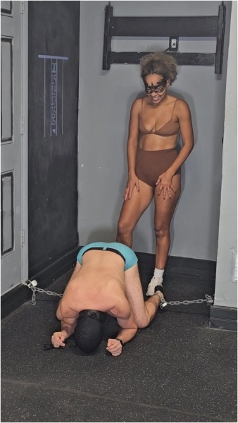 Ballbusting Bianca - Dominabianca - 100 Hits Of Pleasure Episode 1 A Kick And A Curtsy