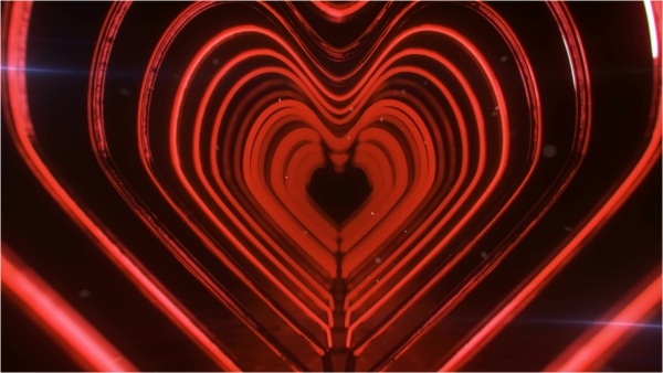 BrattyKiki - My Zionist pet dog