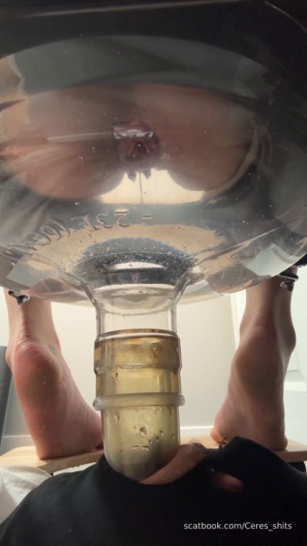 Goddess Ceres - Minutes of Daily Toilet Slave Destruction