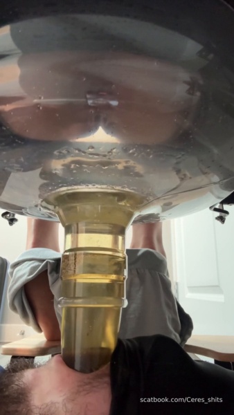 Goddess Ceres - Five Levels of Shit