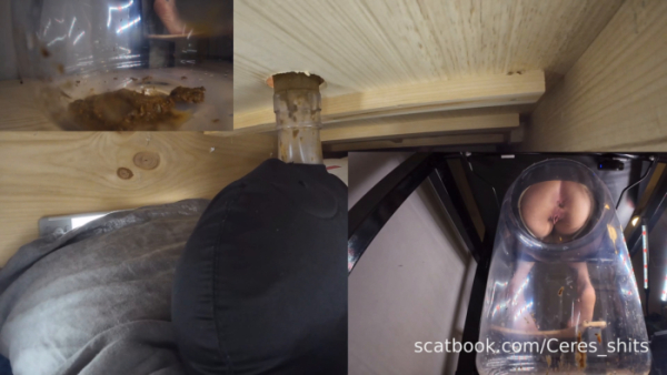 Goddess Ceres - The Ultimate Human Toilet Setup Configuration