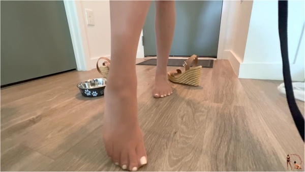 Femdom Puppy Play - Lil Mizz Unique's Allergy Free Boyfriend Part 2