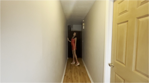 AriaNicoleXXX - Tease In The Items Loser Ryan Bought Us 4K