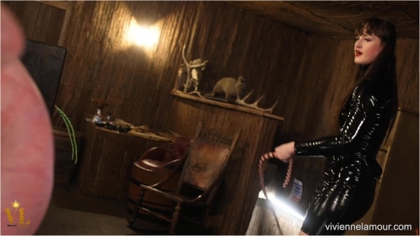 Vivienne l'Amour - Painful Pegging In Stocks