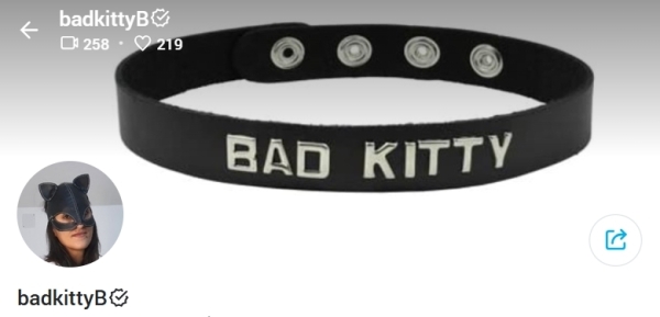 badkittyB from fansly - Onlyfans Pack - 163 Cips and 180 Photo