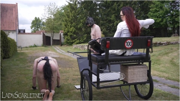 Lady Scarlet - A RIDE IN THE CARRIAGE