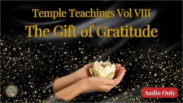 Sara Sitwell - Temple Teachings Vol VIII The Gift of Gratitude Audio Only